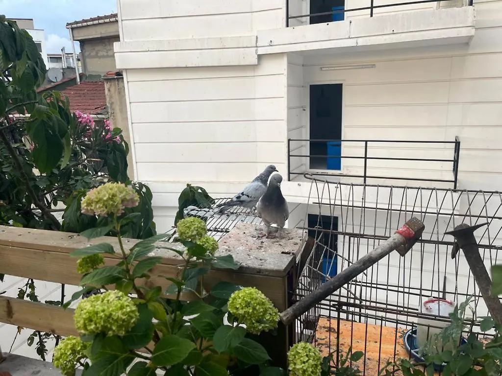 Central Apartment Kadikoy Terrace Bbq Close 2 Block Ferry Bull Metro Nighlife Istanbul