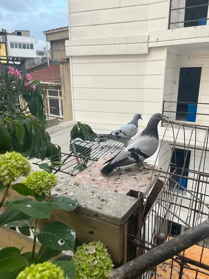 Central Apartment Kadikoy Terrace Bbq Close 2 Block Ferry Bull Metro Nighlife Istanbul